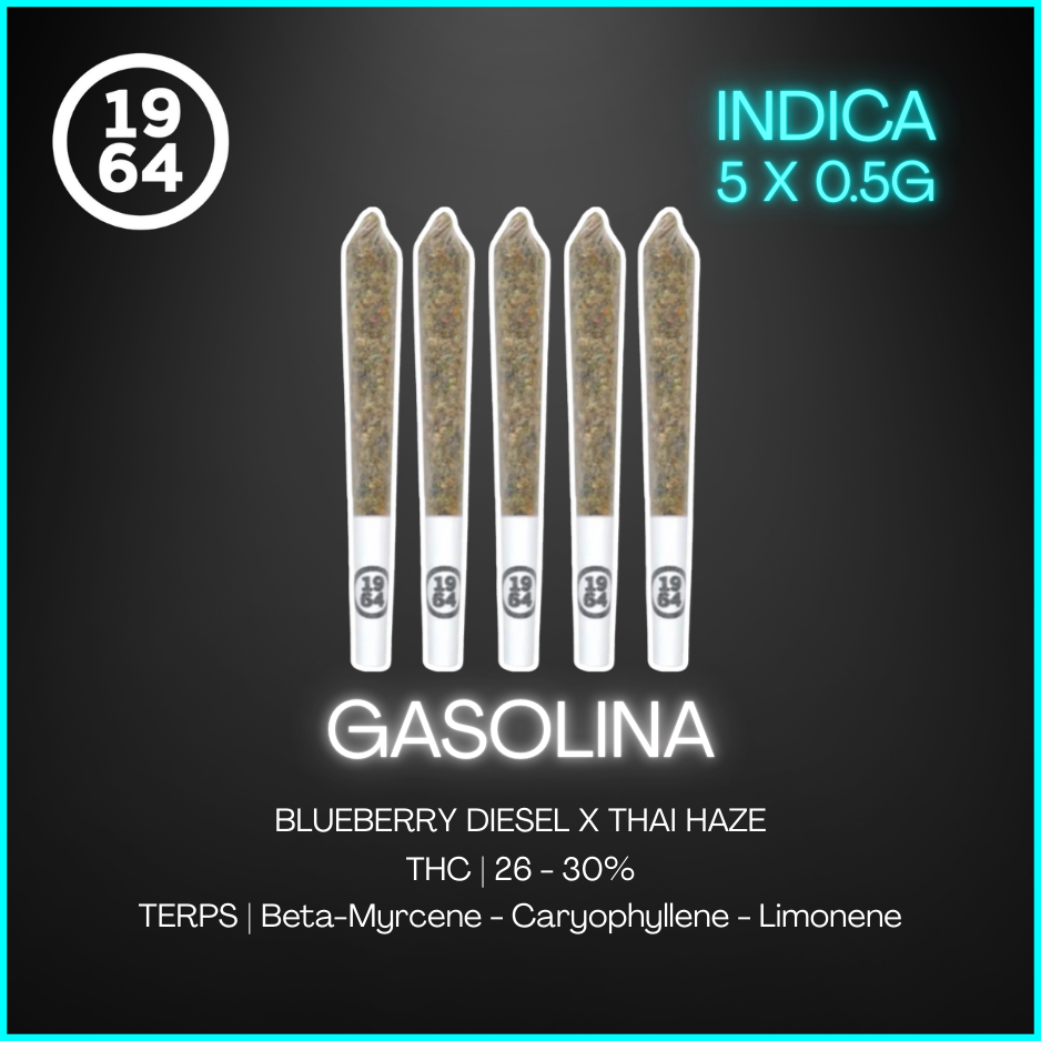 1964 - Gasolina Pre-Rolls - 2.5G