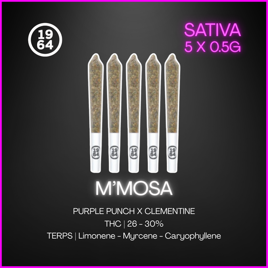 1964 - M'Mosa Pre-Rolls - 2.5G