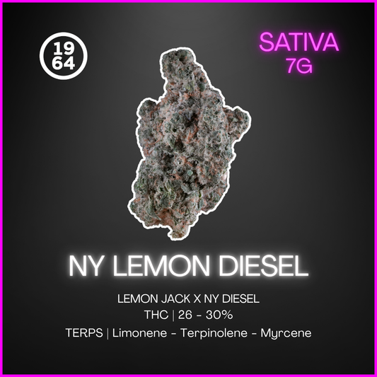 1964 - Ny Lemon Diesel - 7G