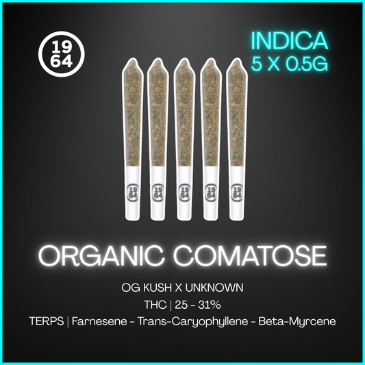 1964 - Organic Comatose Pre-Rolls - 2.5G