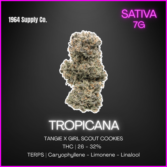 1964 - Tropicanna - 7G