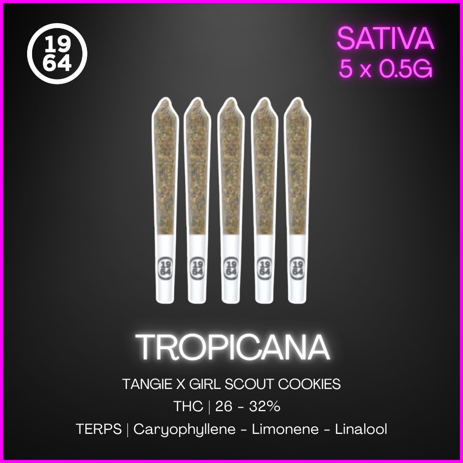 1964 - Tropicanna Pre-Roll - 2.5G