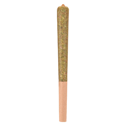 Woody Nelson - Rocketeer Infused Pre-Roll Lto