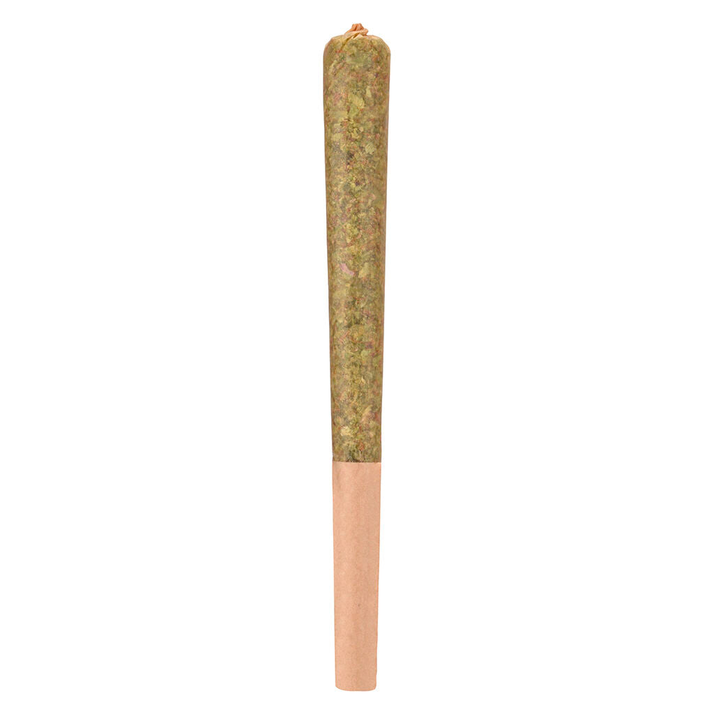 Woody Nelson - Rocketeer Infused Pre-Roll Lto