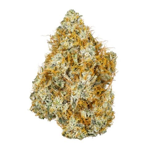 Coast Mountain Cannabis - Bc Organic Citrus Sky Lto