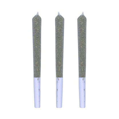 Victoria Cannabis Company - G-Wagon Pre Rolls