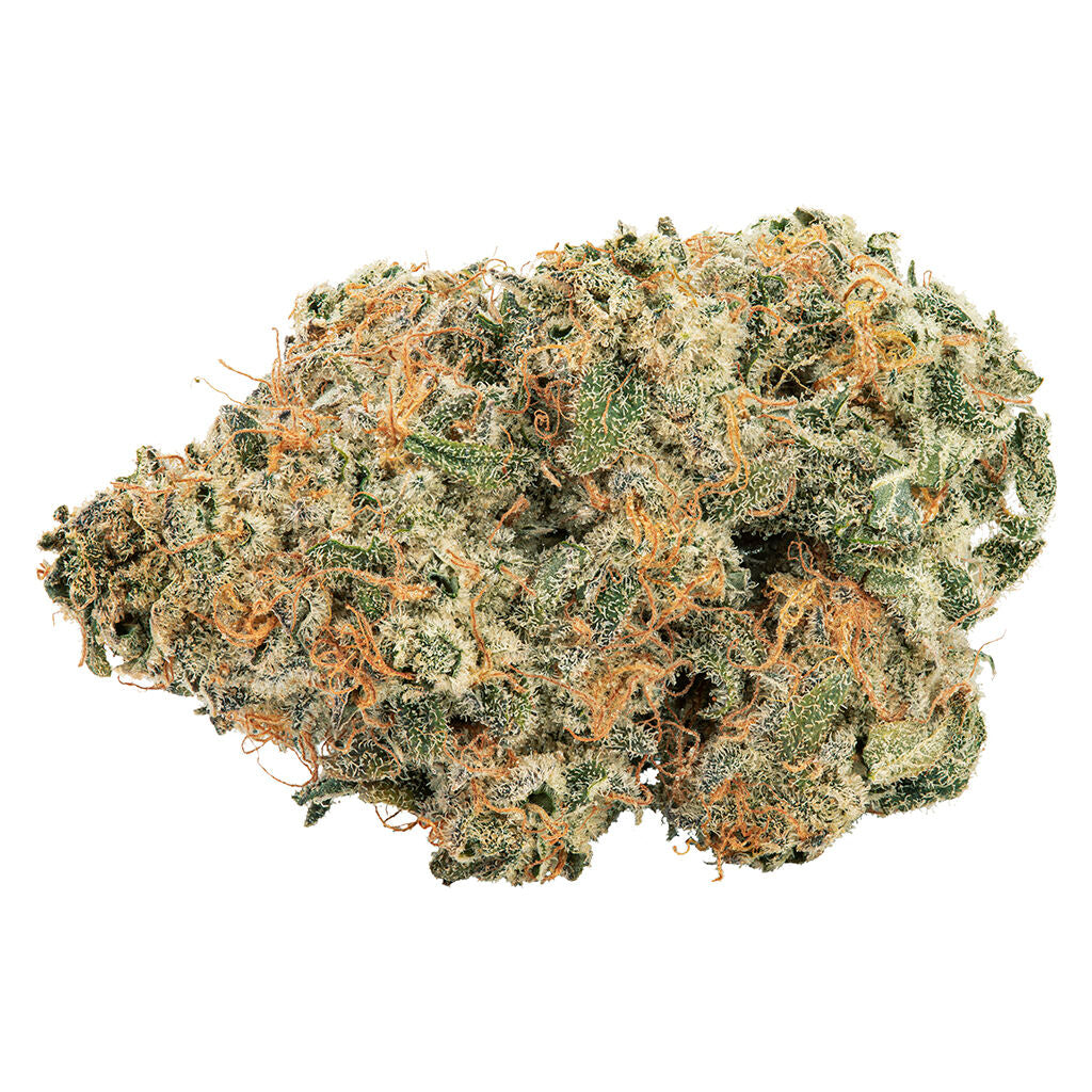 Holy Mountain - Purple Punch-Out!!