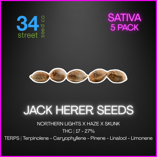 34 Street Seed Co - Jack Herer Seeds - 25Ea