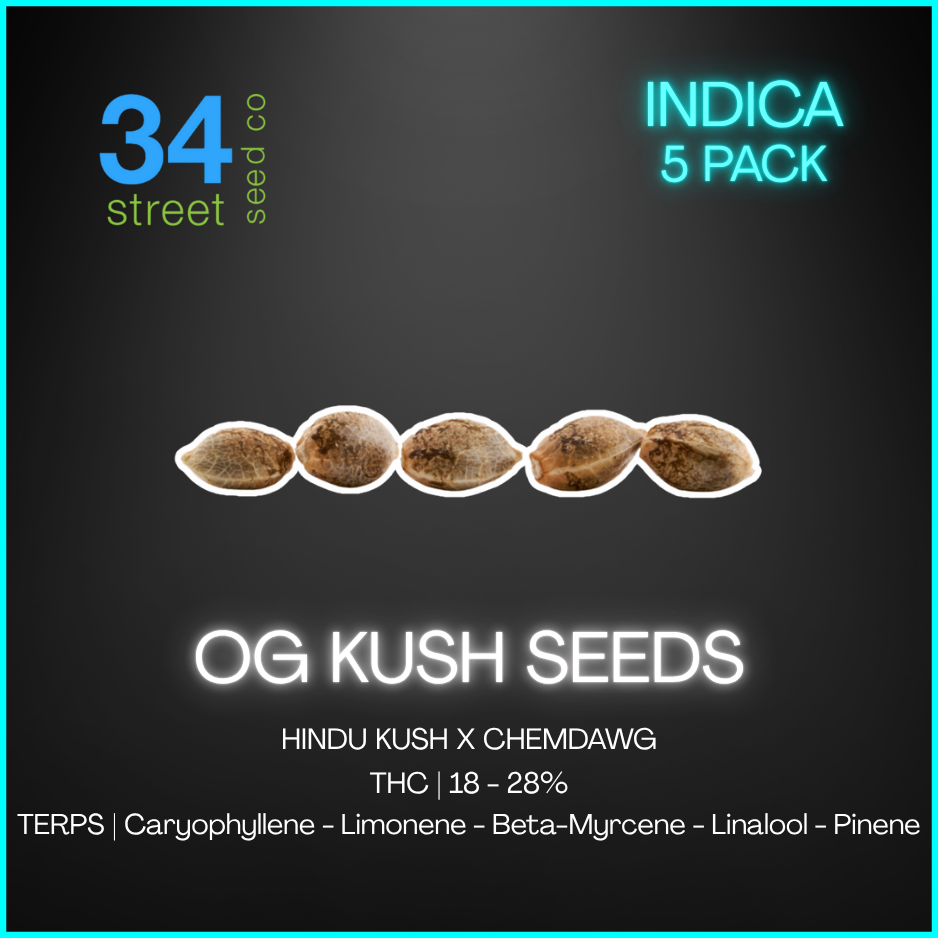 34 Street Seed Co - Og Kush Seeds - 25Ea