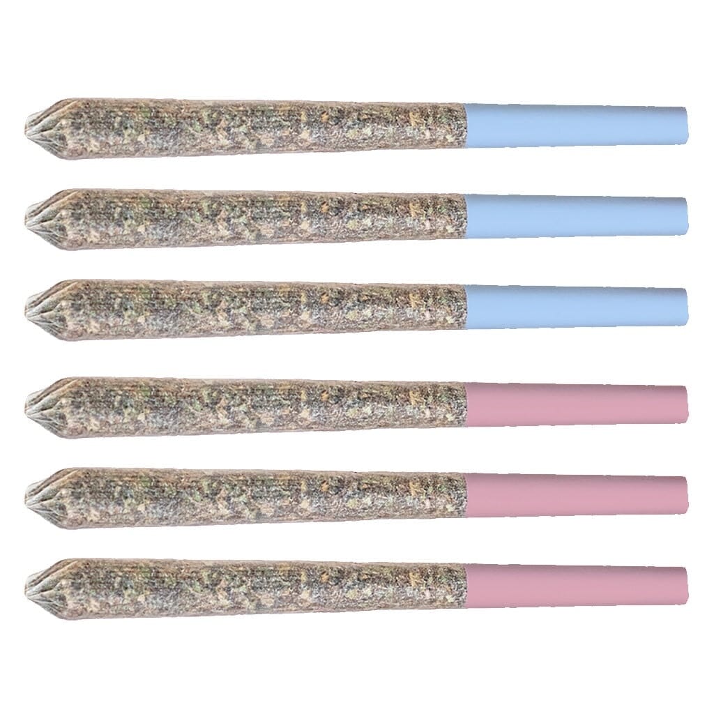 Station House - Sativa Daytime Express Variety Pack Pre-Rolls