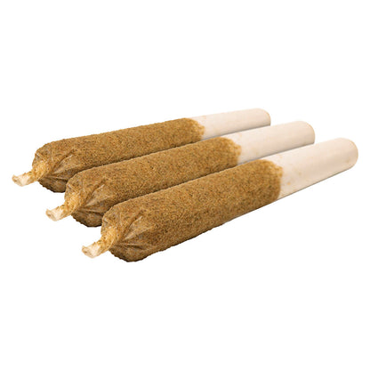General Admission - Grapey Grape Distillate Infused Pre-Rolls