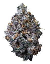 Sweetgrass Organic Cannabis - Organic Zest