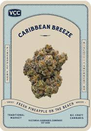 Victoria Cannabis Company - Caribbean Breeze