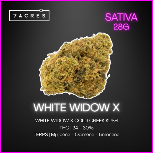 7Acres - 7Acres White Widow X - 28G