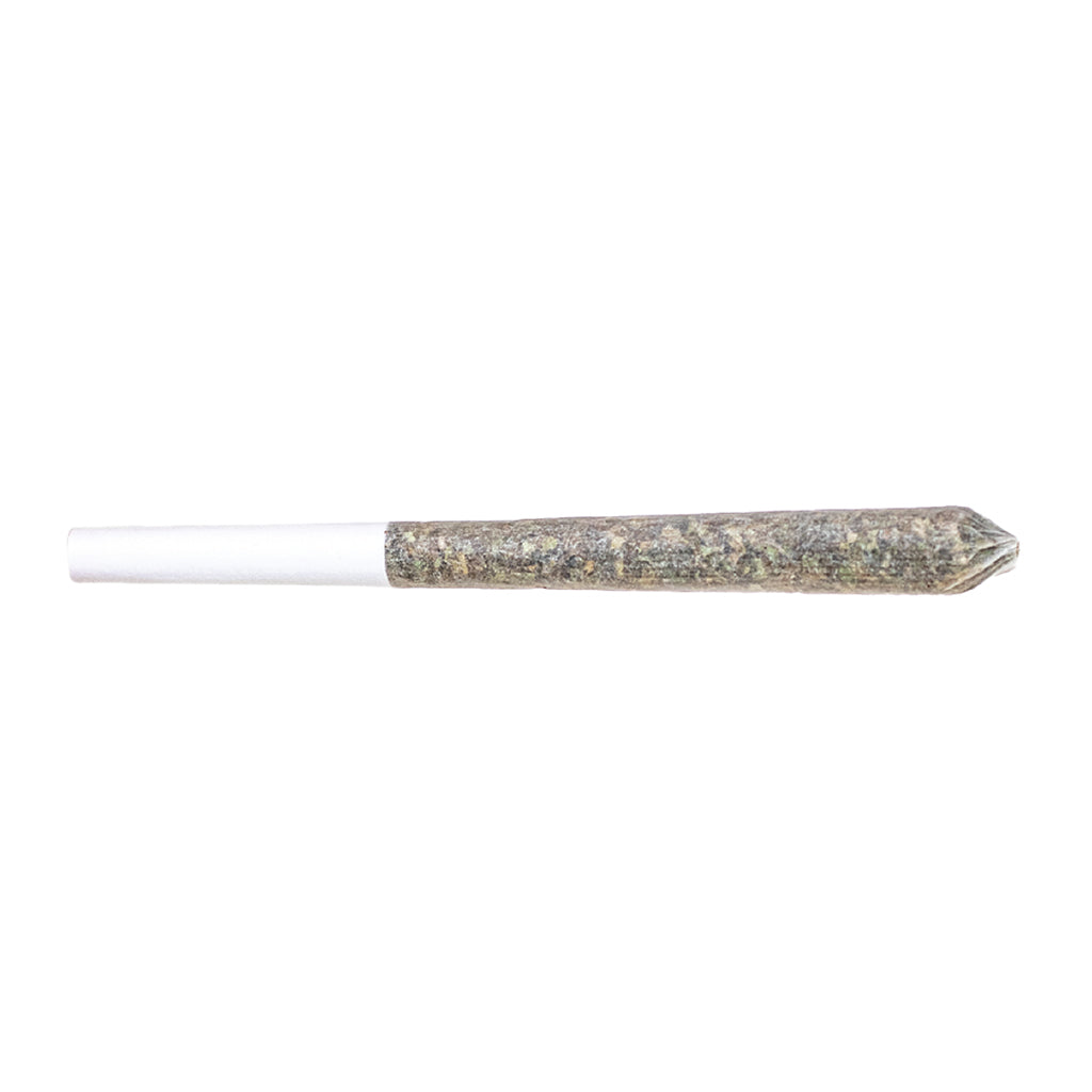 Station House - Blue Dream Single Pre-Rolls