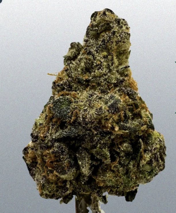 BC WEED CO - PART TIME LOVER - 7 GRAM