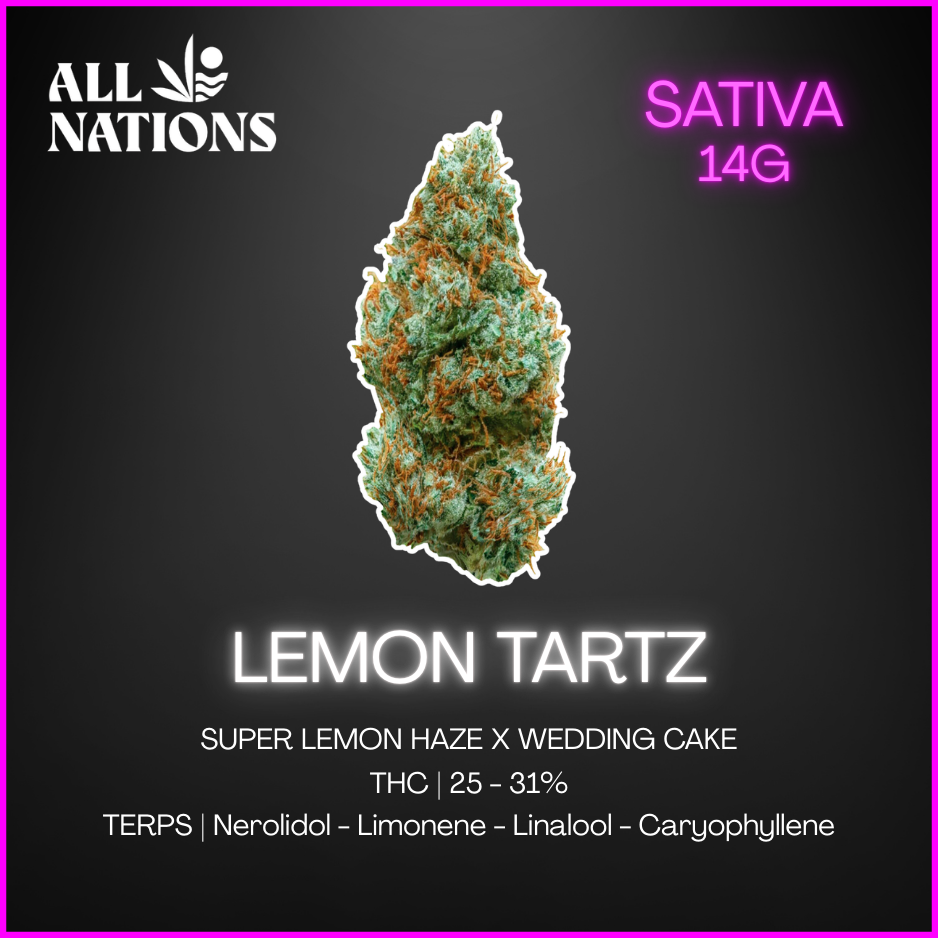 All Nations - Lemon Tartz - 14G