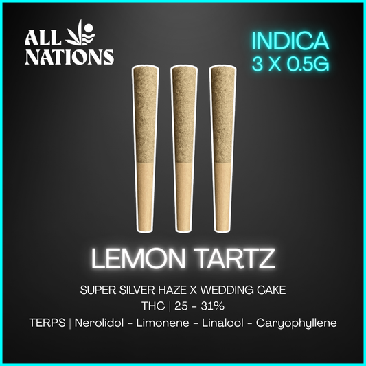 All Nations - Lemon Tartz Pre-Rolls - 3x0.5g
