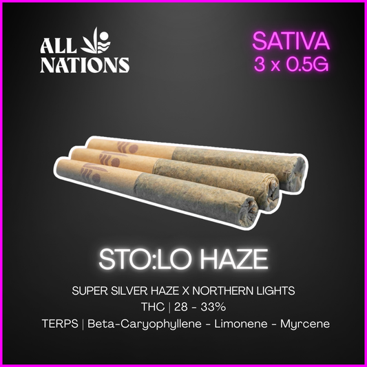 All Nations - Sto:Lo Haze Pre-Rolls - 1.5G
