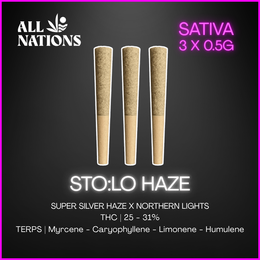 All Nations - Stolo Haze Pre-Rolls - 3x0.5g