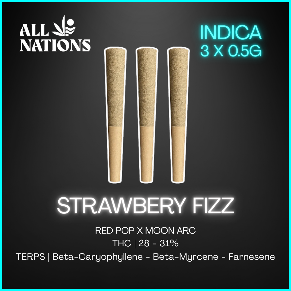 All Nations - Strawberry Fizz Pre Roll - 3 x 0.5g