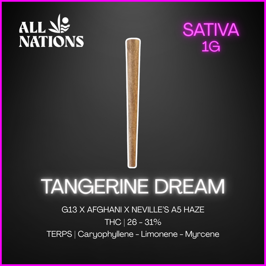All Nations - Tangerine Dream Blunt - 1G