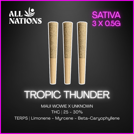 All Nations - Tropic Thunder Pre Rolls - 3 x 0.5g