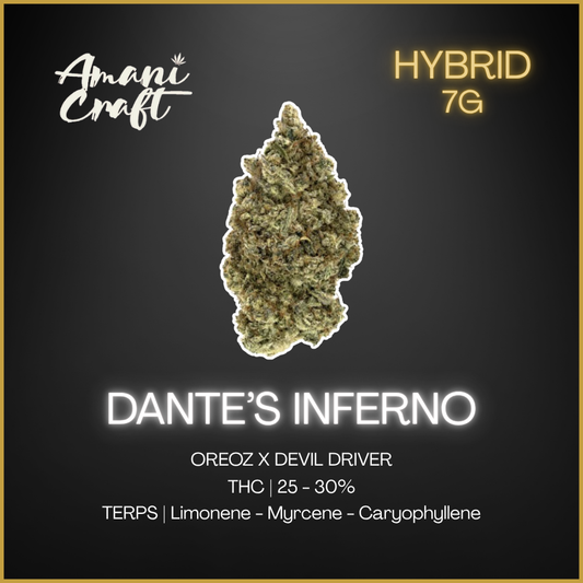 Amani Craft Cannabis - Dante'S Inferno Lto - 7G