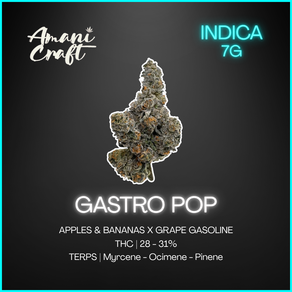 Amani Craft Cannabis - Gastro Pop - 7G