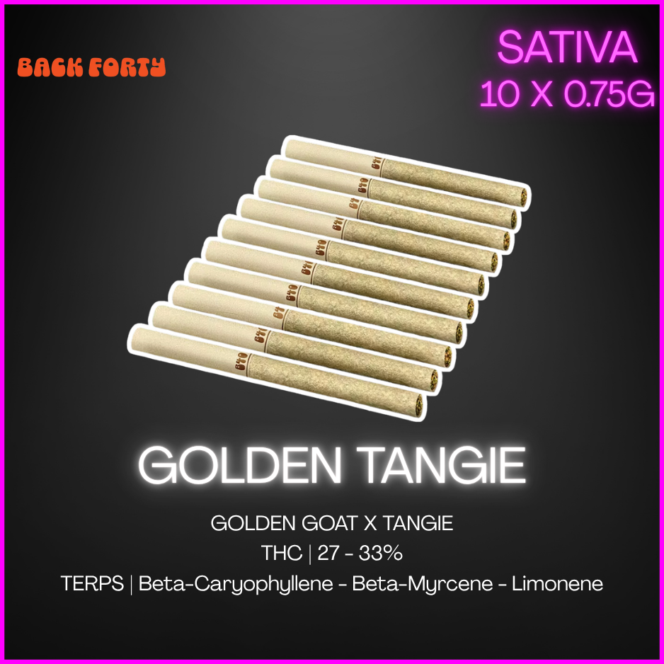 Back Forty - Backpackers Golden Tangie Pre-Rolls - 7.5G