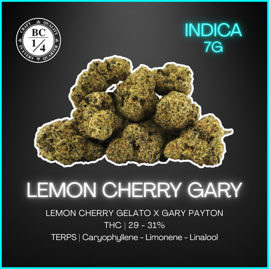 Bc 1/4 - Lemon Cherry Gary Lto - 7G