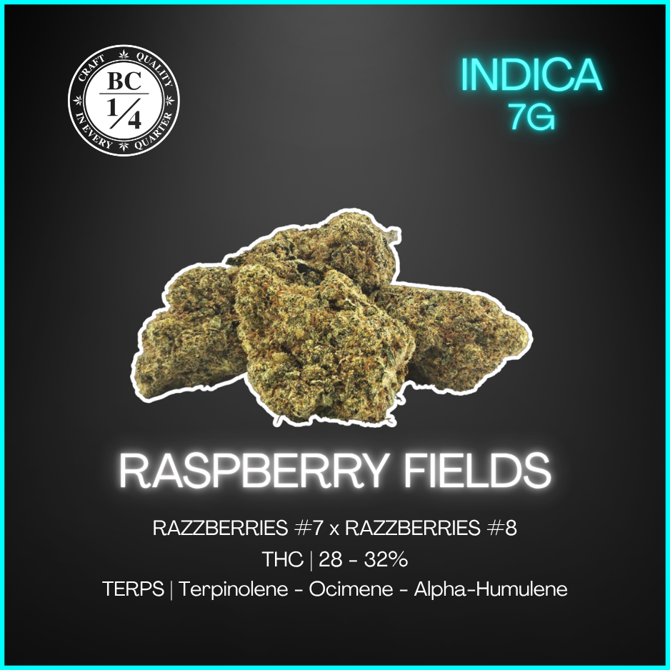 Bc 1/4 - Raspberry Fields - 7G – Pineapple Victoria