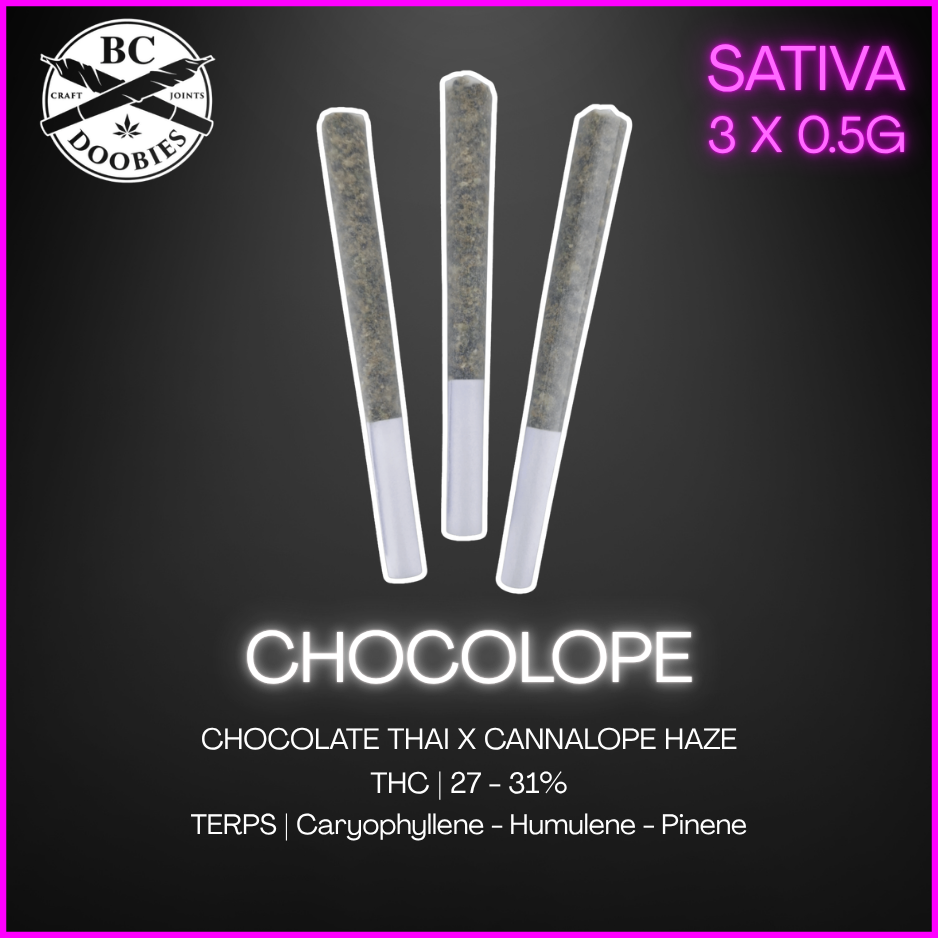 Bc Doobies - Chocolope Pre-Rolls - 1.5G