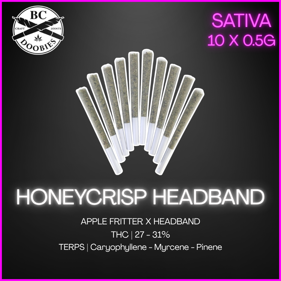 Bc Doobies - Honeycrisp Headband Pre-Rolls - 5G