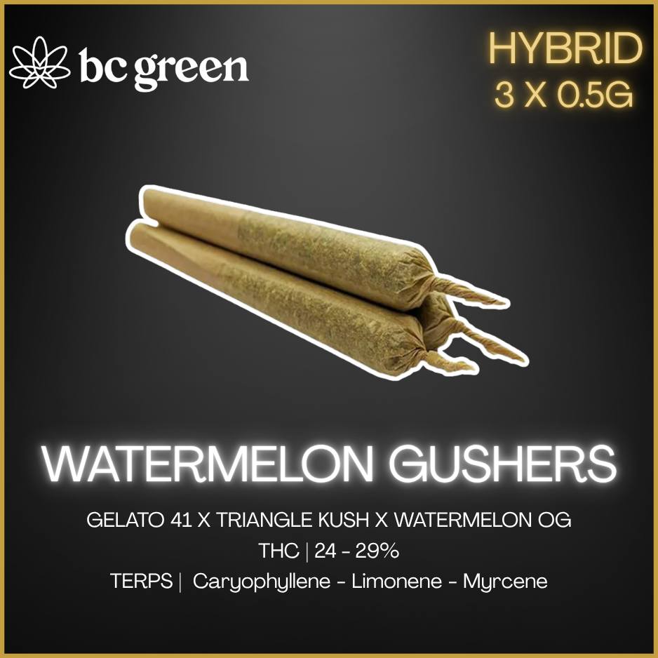 Bc Green - Watermelon Gushers Pre-Rolls - 1.5G