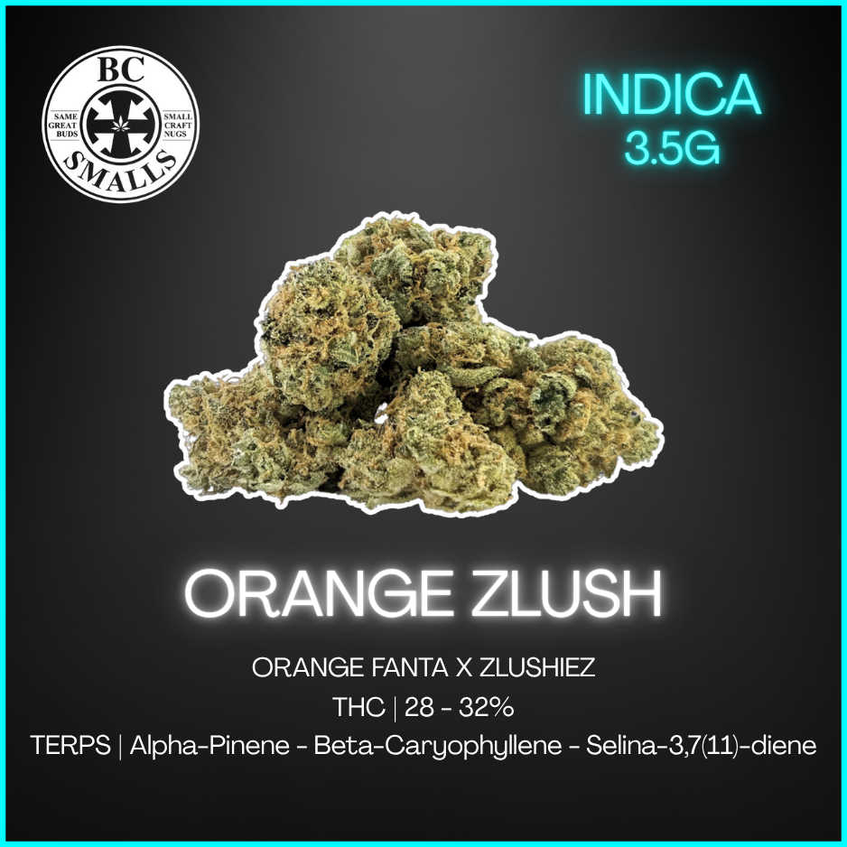Bc Smalls - Orange Zlush Smalls