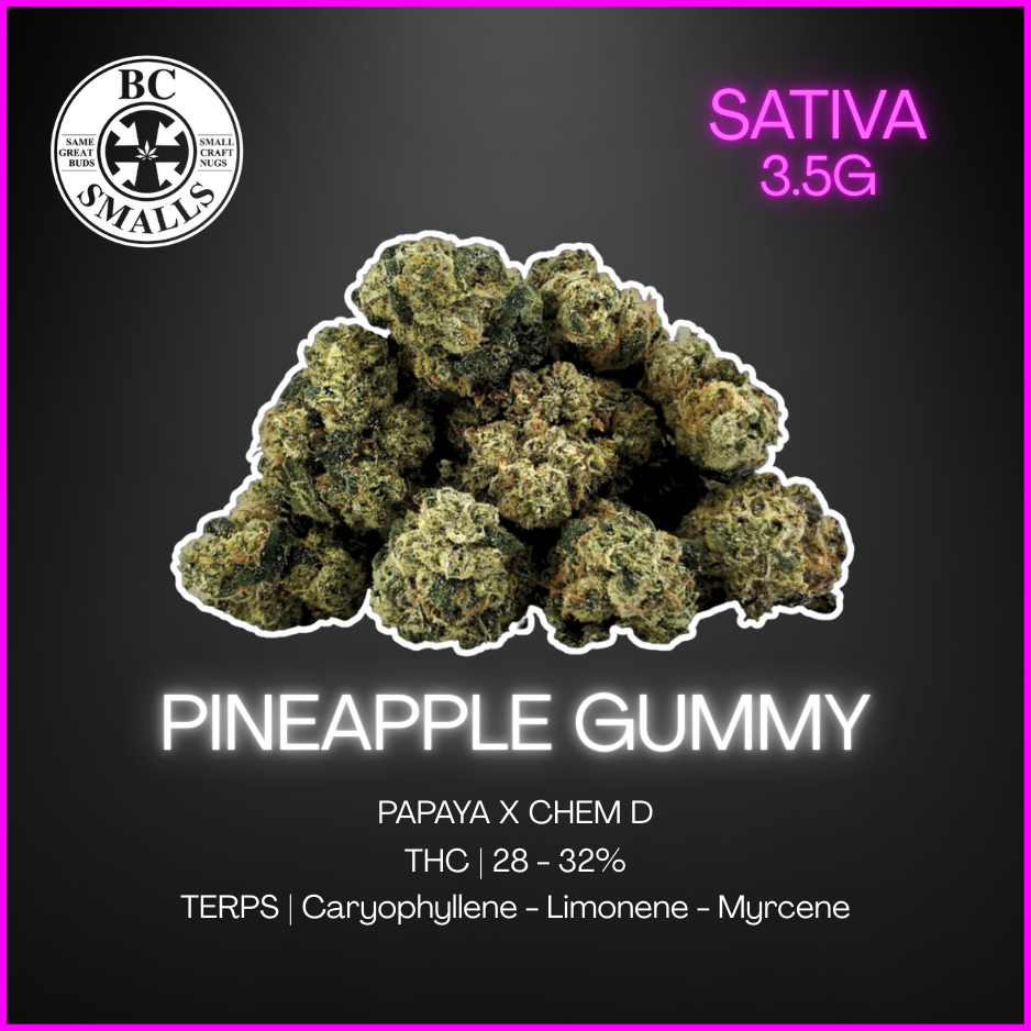 Bc Smalls - Pineapple Gummy Smalls - 3.5G