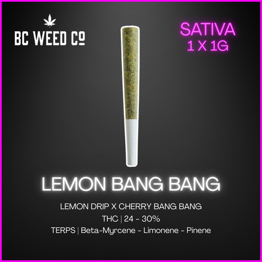 Bc Weed Co. - Lemon Bang Bang Pre-Roll - 1G