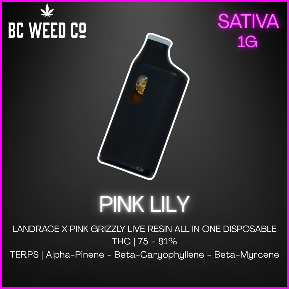 Bc Weed Co. - Pink Lily Live Resin Disposable Vape Lto - 1G