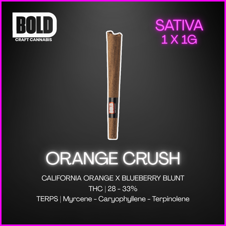 Bold - Orange Crush Blunt - 1G