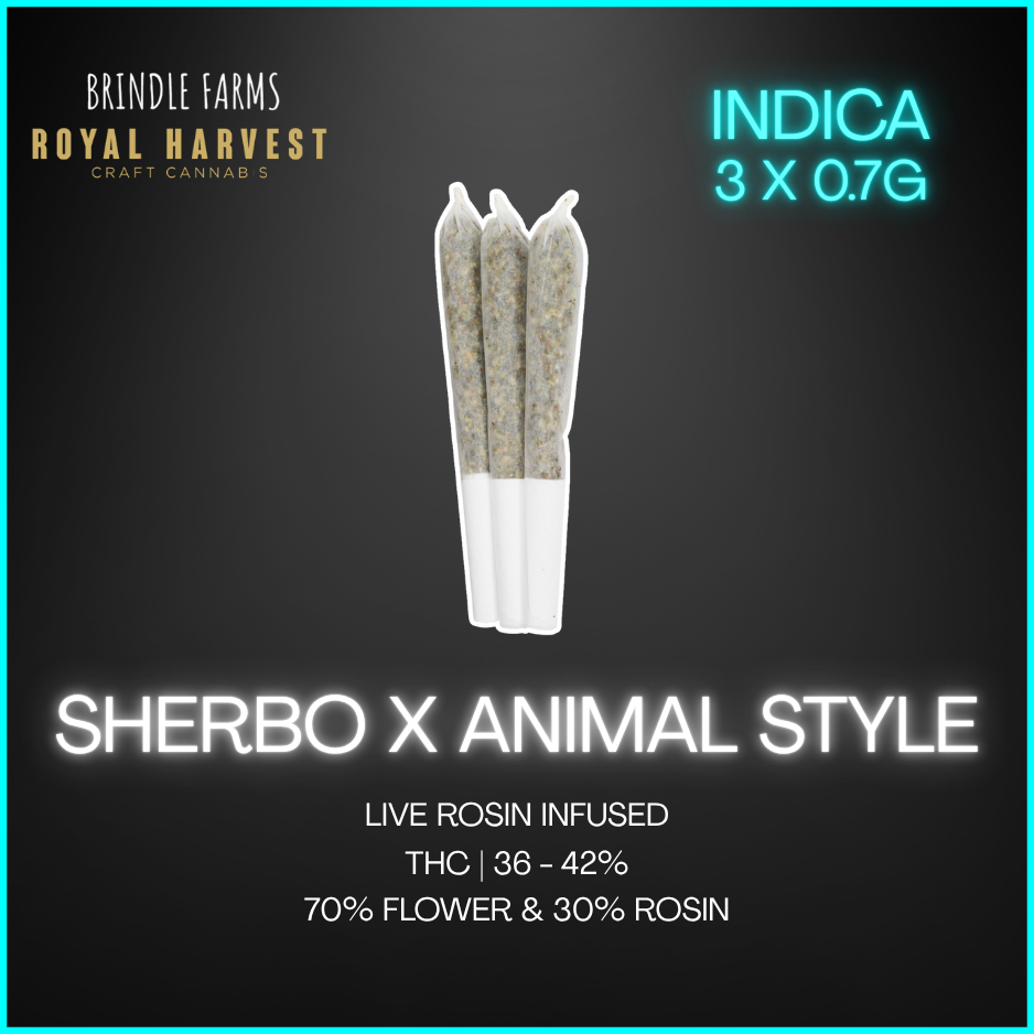 Brindle Farms X Royal Harvest - Sherbo X Animal Style Live Rosin Infused Pre-Rolls