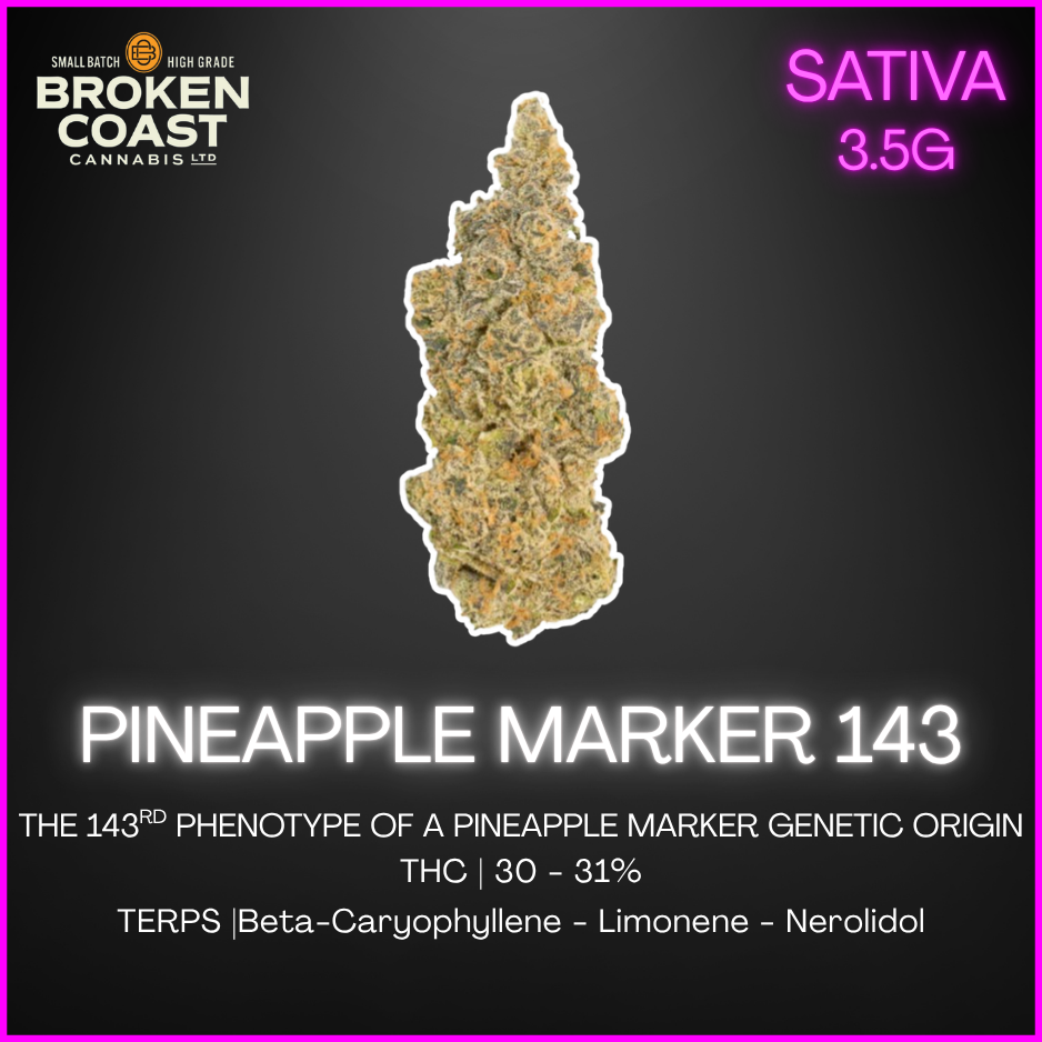 Broken Coast - Bc Selects: Pineapple Marker 143 - 3.5G