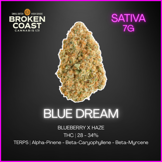 Broken Coast - Blue Dream - 7G