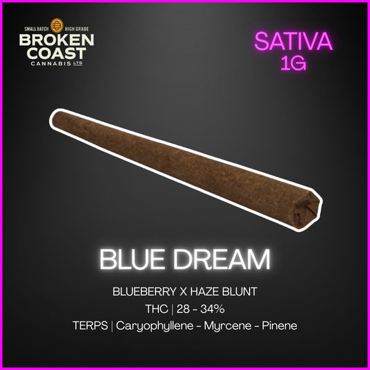 Broken Coast - Blue Dream Blunt - 1G