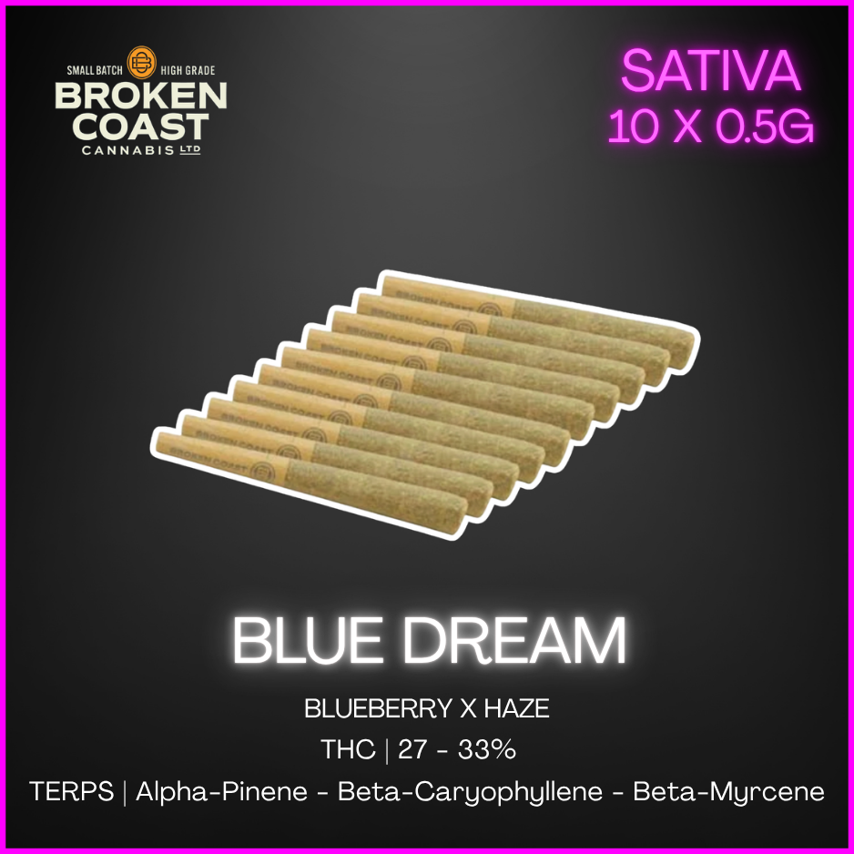 Broken Coast - Blue Dream Pre-Rolls - 5G