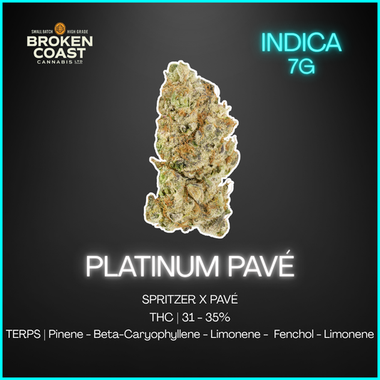 Broken Coast - Platinum Pave - 7G