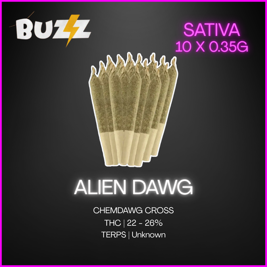 Buzz - Sativa Alien Dawg Loosies Prerolls - 10 x 0.35g