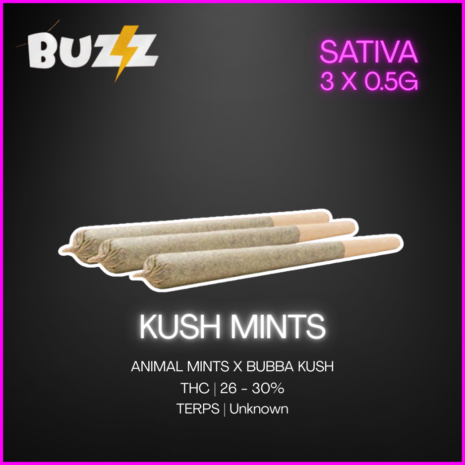 Buzz Cannabis - Kush Mints - Cones Sativa Pre Rolls - 3 x 0.5g