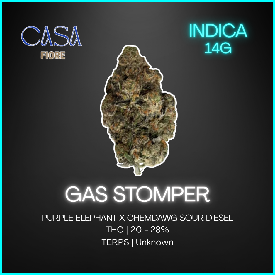 Casa Fiore - Gas Stomper - 14g