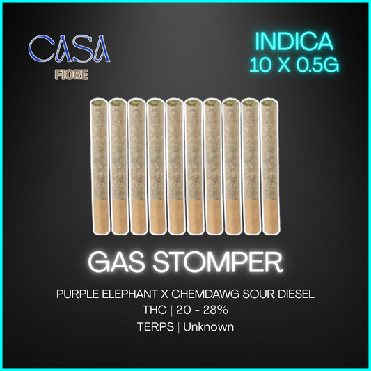 Casa Fiore - Gas Stomper Preroll - 10x0.5g